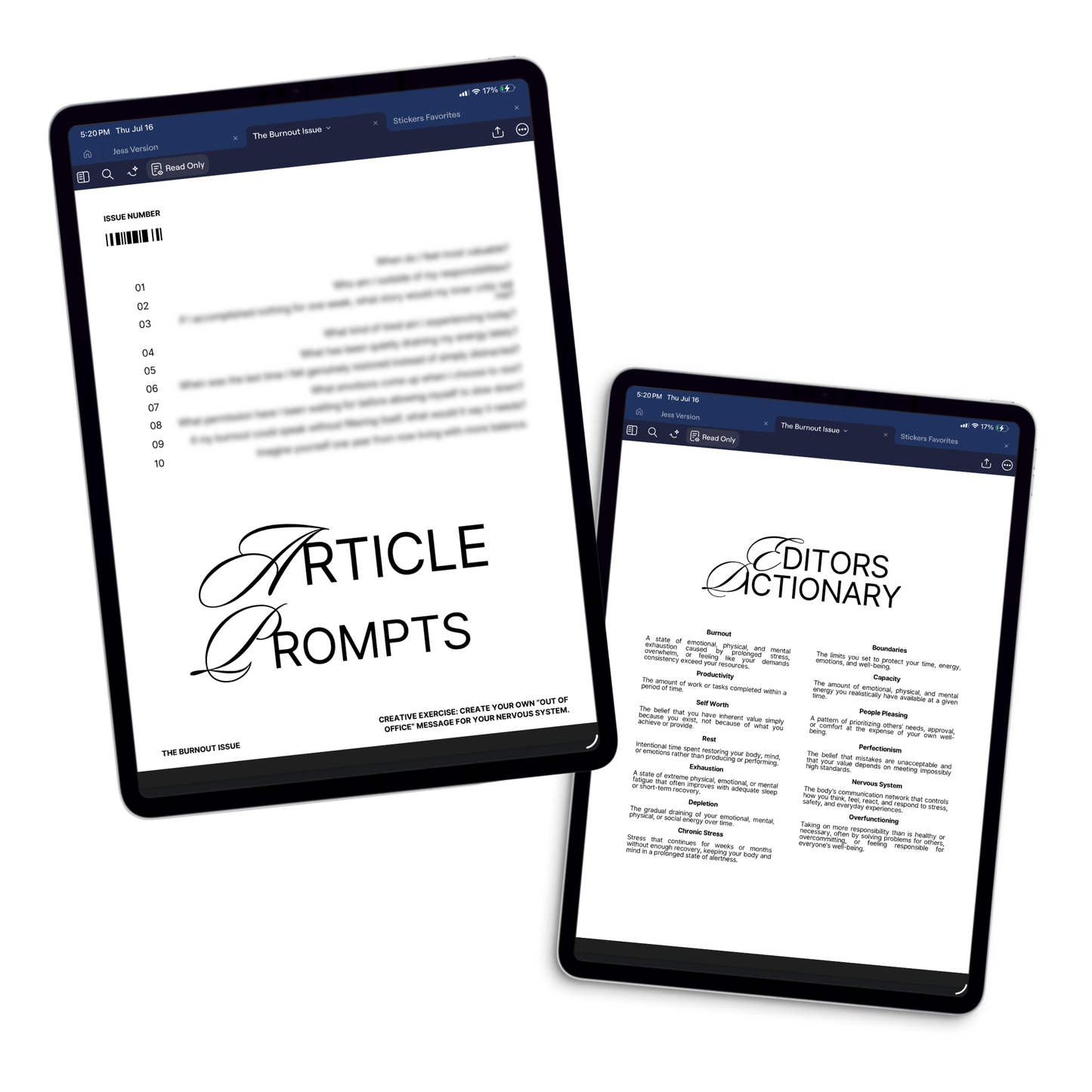 The Burnout Issue - Journaling Kit (PDF) (Goodnotes, Noteful, PNG)