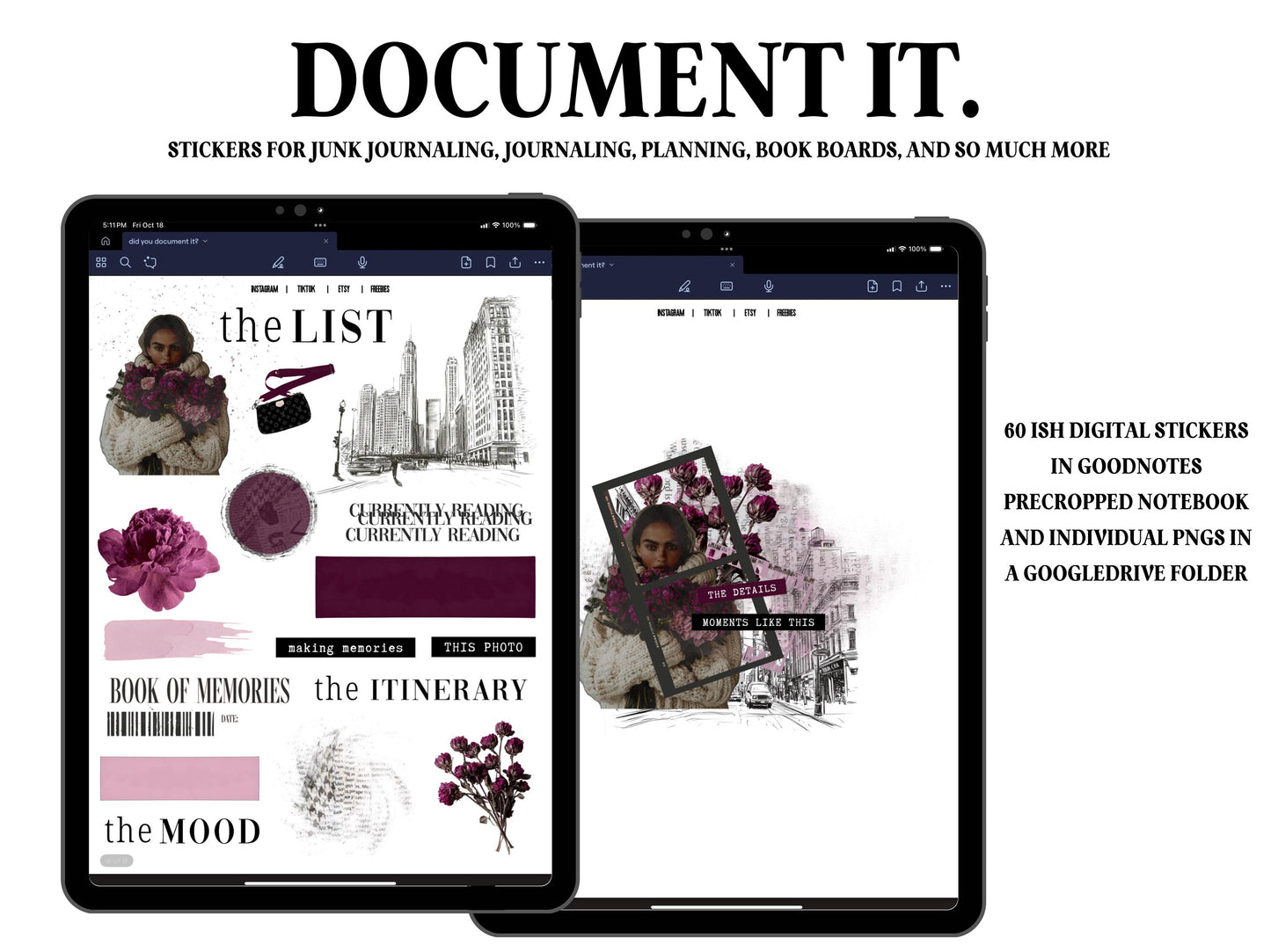 Document It Digital Journaling and Planning Stickers (Goodnotes, PNGs)
