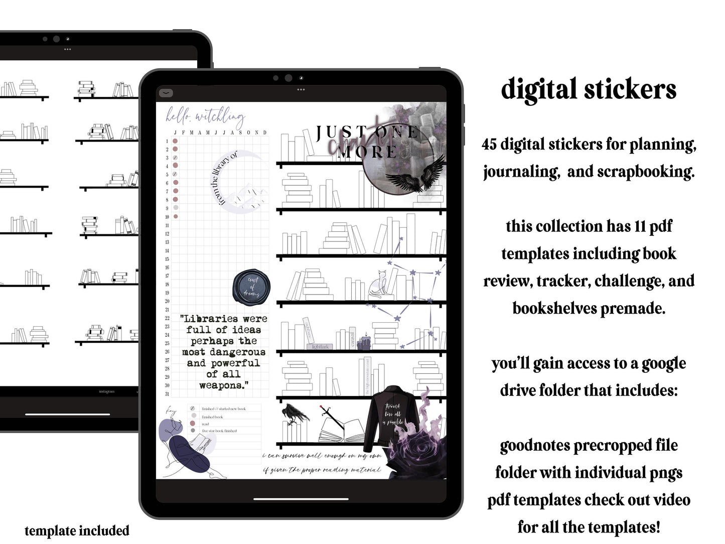 Book Lover Digital Journaling and Planning Stickers (Goodnotes, PNGs)