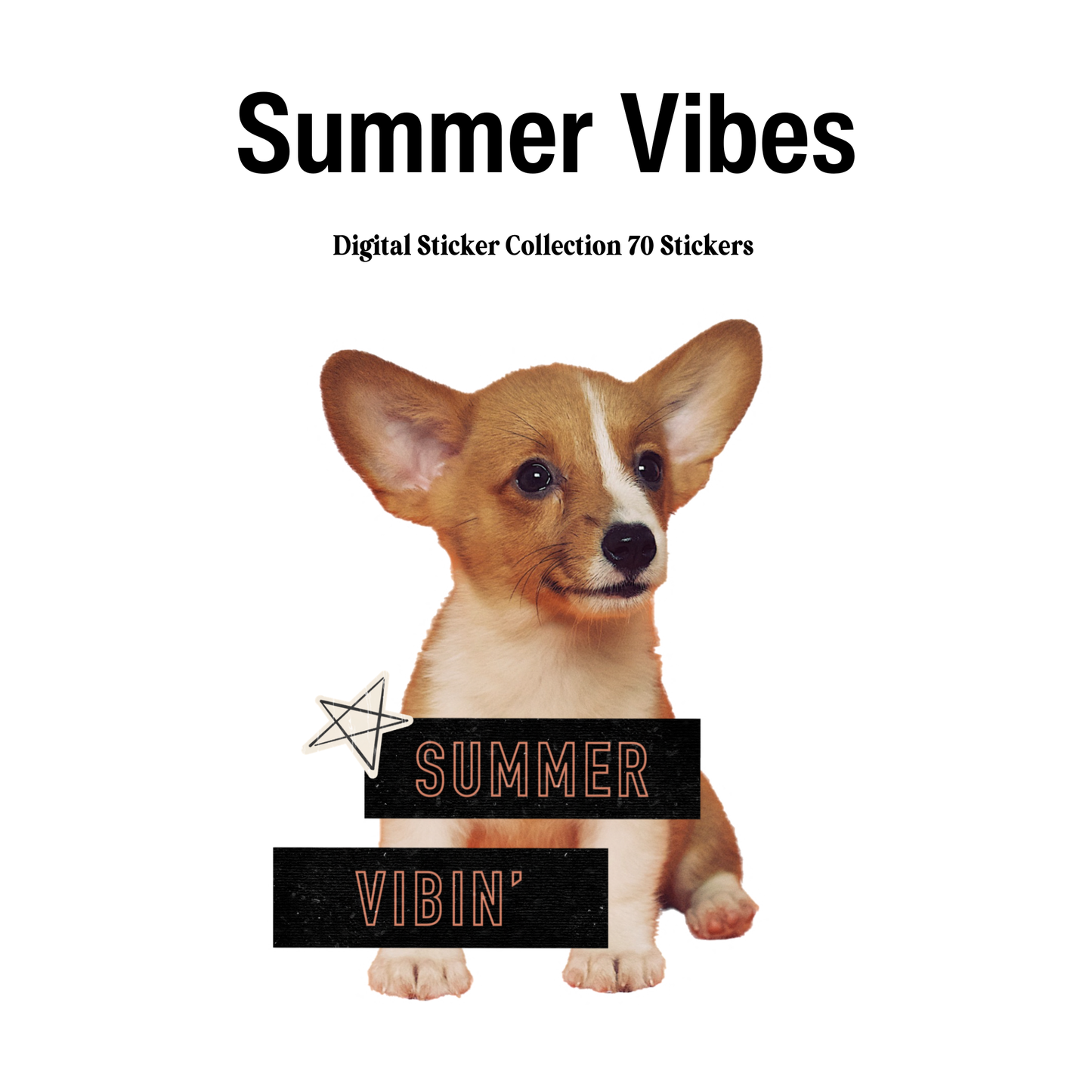 summer vibin' Digital Journaling and Planning Stickers (Goodnotes, PNGs)