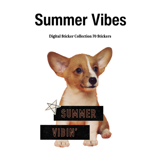 summer vibin' Digital Journaling and Planning Stickers (Goodnotes, PNGs)