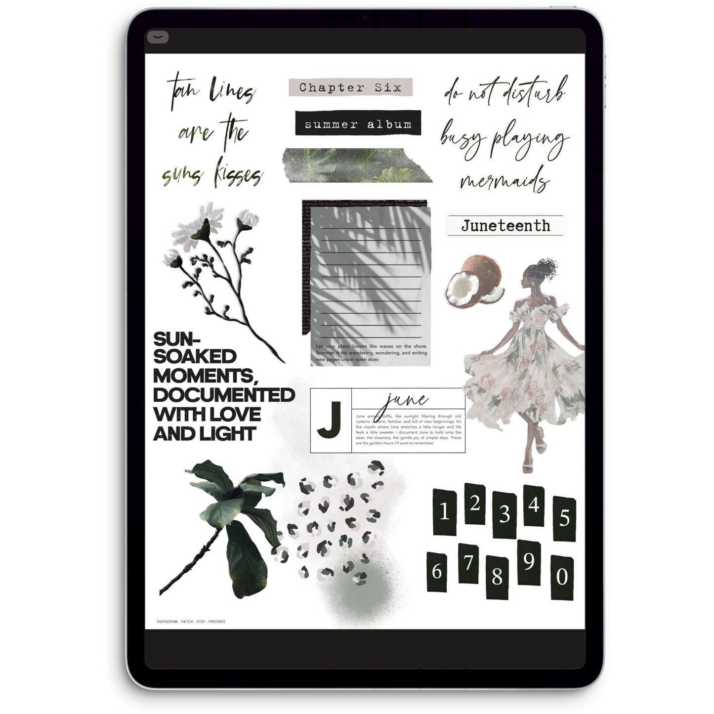 June Digital Journaling and Planning Stickers (Goodnotes, Noteful, PNGs)