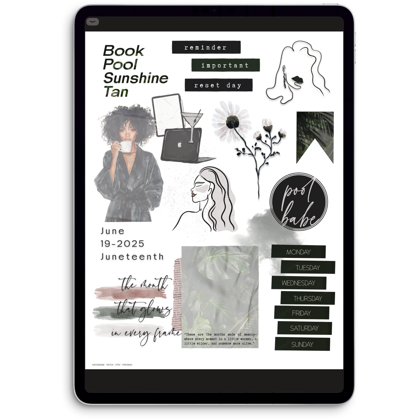 June Digital Journaling and Planning Stickers (Goodnotes, Noteful, PNGs)