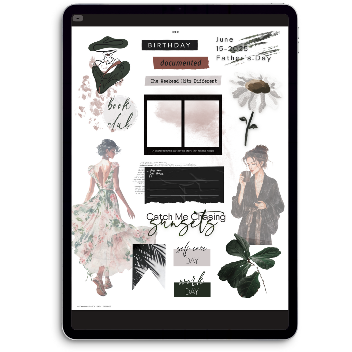 June Digital Journaling and Planning Stickers (Goodnotes, Noteful, PNGs)