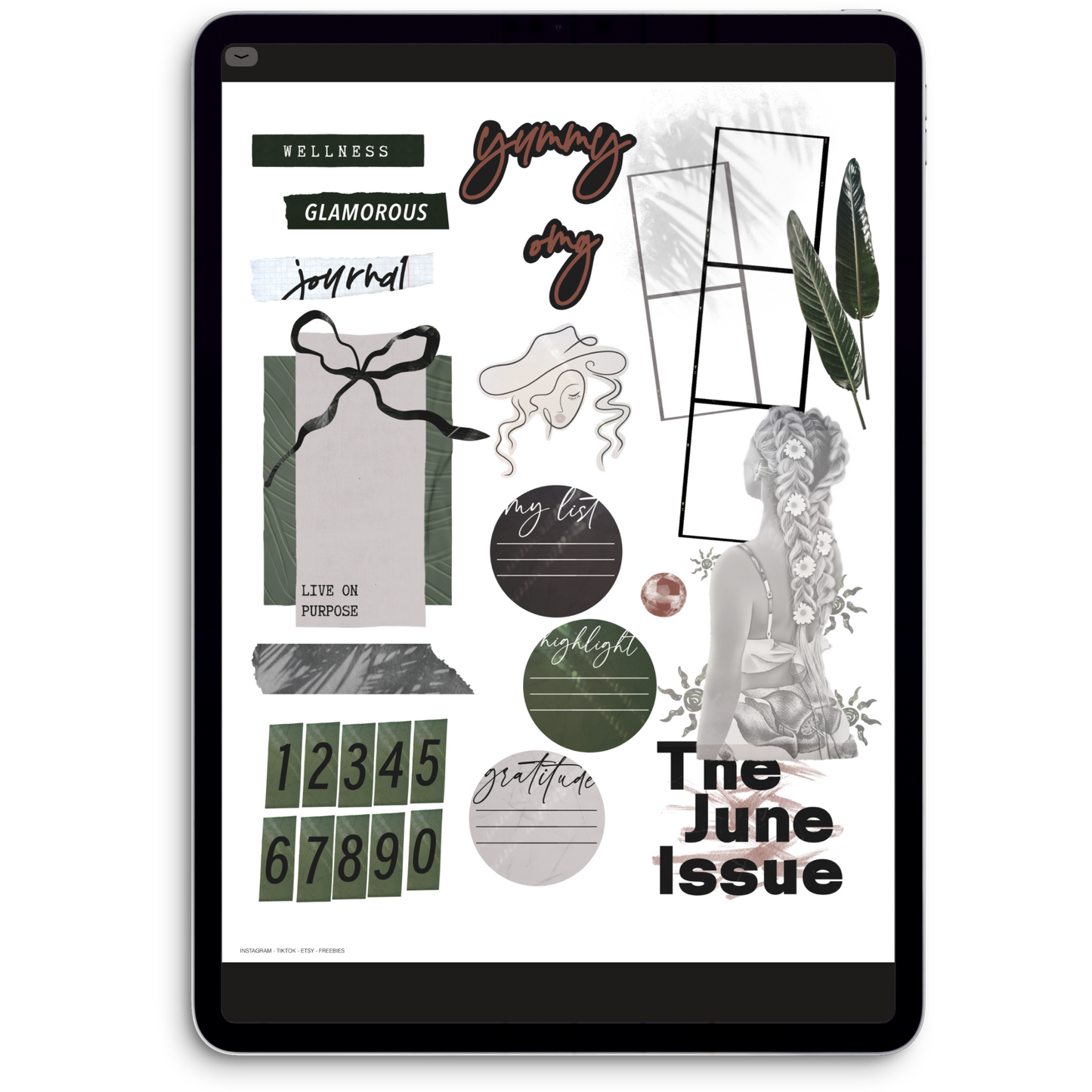 June Digital Journaling and Planning Stickers (Goodnotes, Noteful, PNGs)
