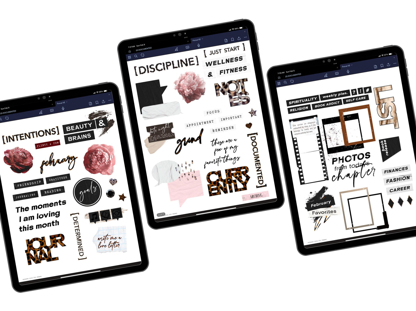 Focus V2 Digital Journaling and Planning Stickers (Goodnotes, PNGs)
