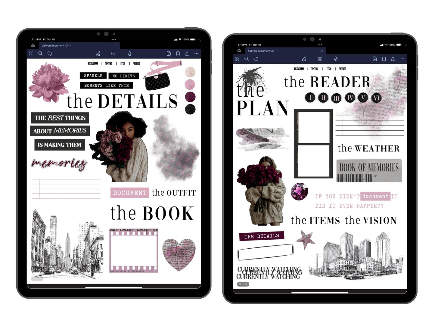 Document It Digital Journaling and Planning Stickers (Goodnotes, PNGs)